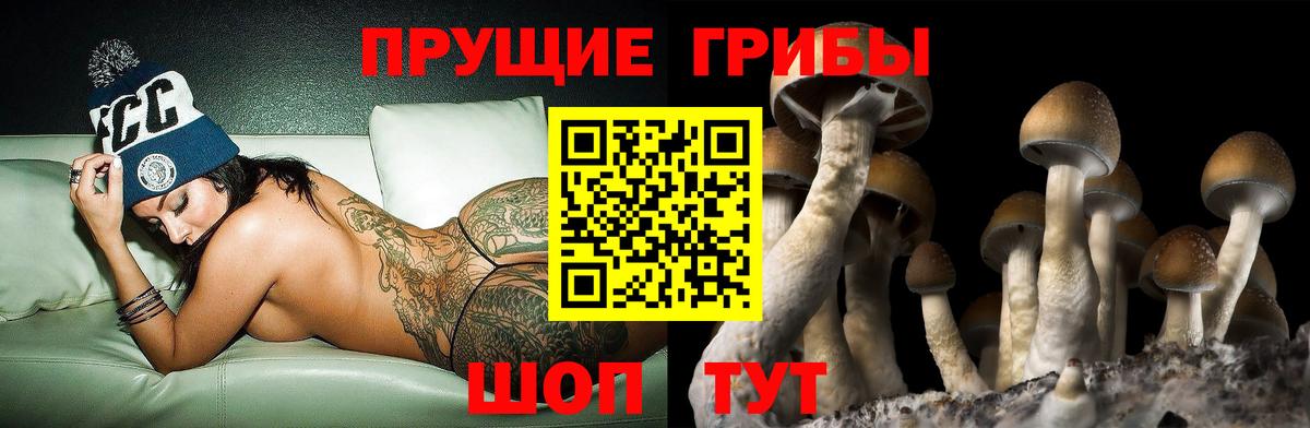 Псилоцибиновые грибы мухоморы  Вход с VPN  Гудермес 